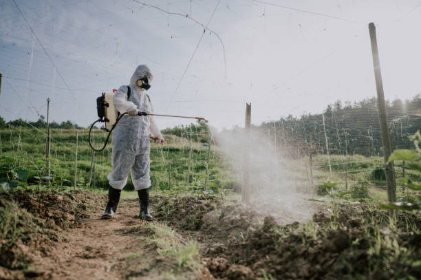 Best Commercial Pest Control Services  in Nescopeck, PA
